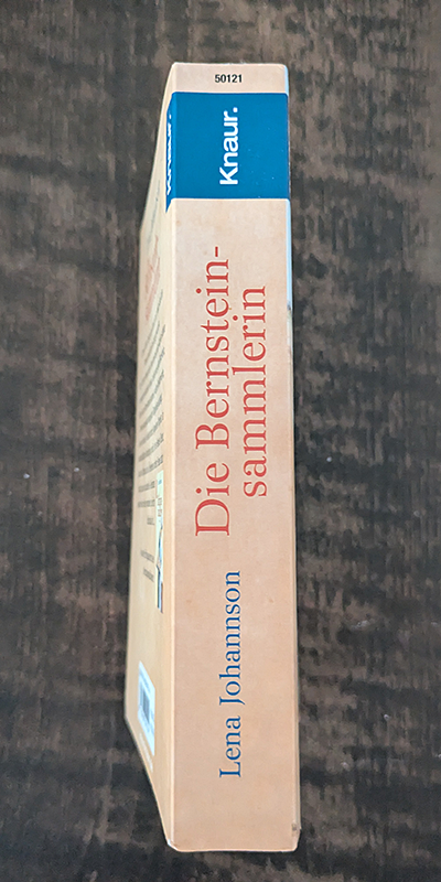 Die Bernsteinsammlerin
